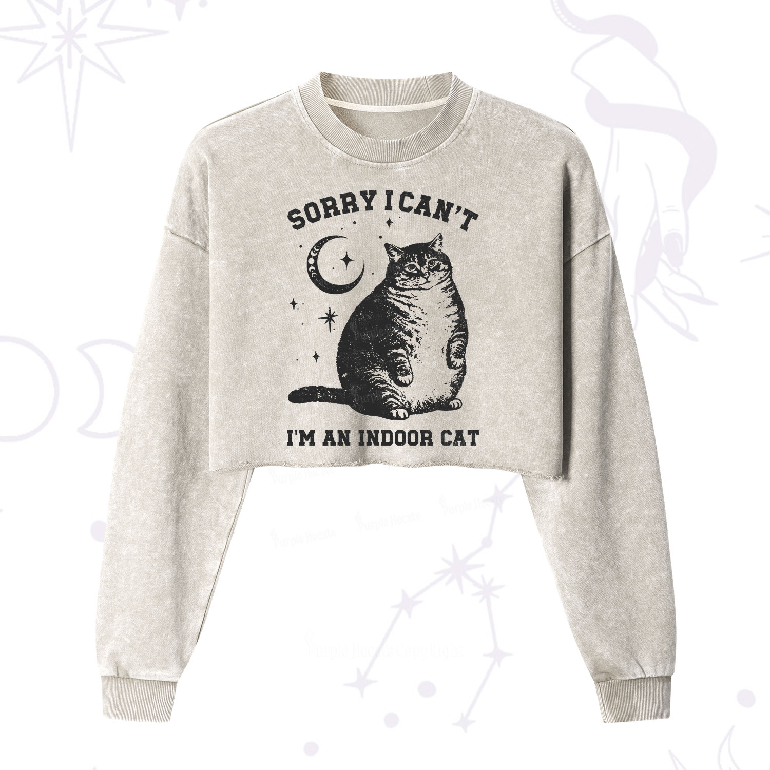 Purplehecate Sorry I Can't Go I'm an Indoor Cat Cropped Washed Sweatshirt