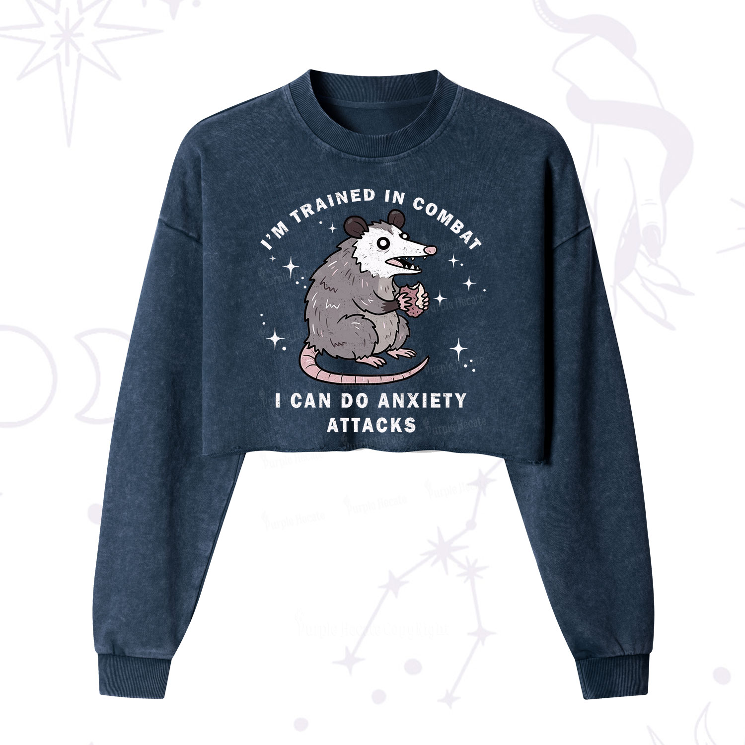 Purplehecate Anixety Attack Opossum Cropped Washed Sweatshirt