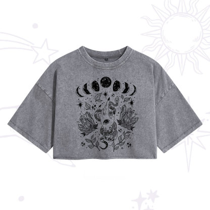 Purplehecate Reach For The Moon Washed Cropped T-Shirt