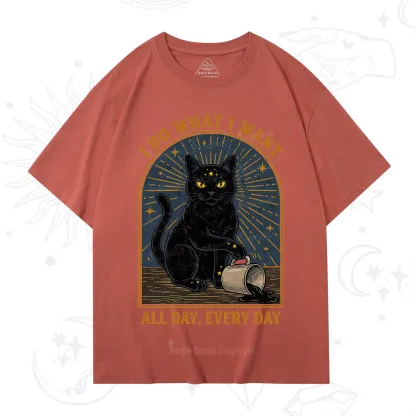 Purplehecate I Do What I What All Day T-Shirt