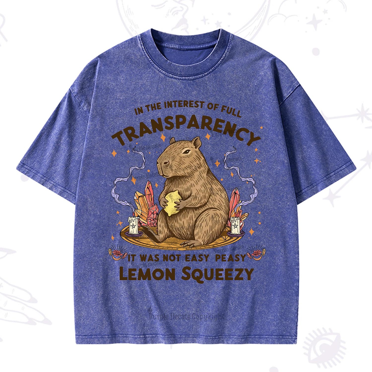 Purplehecate Funny Capybara Washed T-Shirt