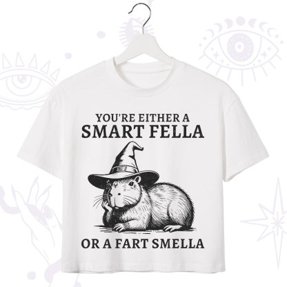 Purplehecate You're Either A Smart Fella or a Smart Fella Crop T-Shirt