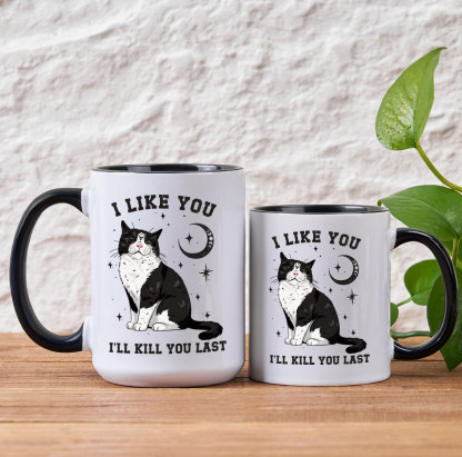 Purplehecate Sorry I Can't Go I'm an Indoor Cat Mug