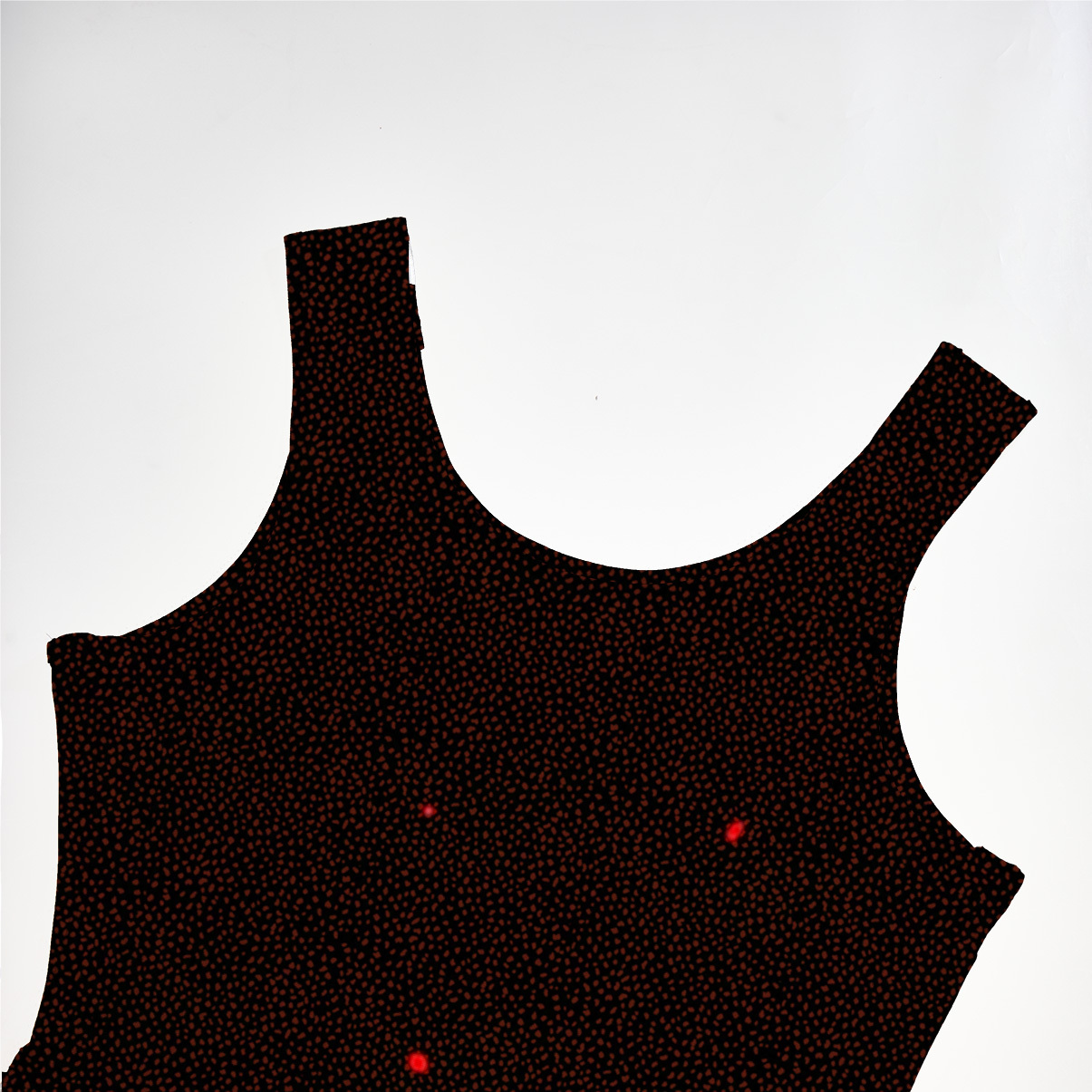 Purplehecate Infernal Revelry Mesh Maxi Tank Beach Dress