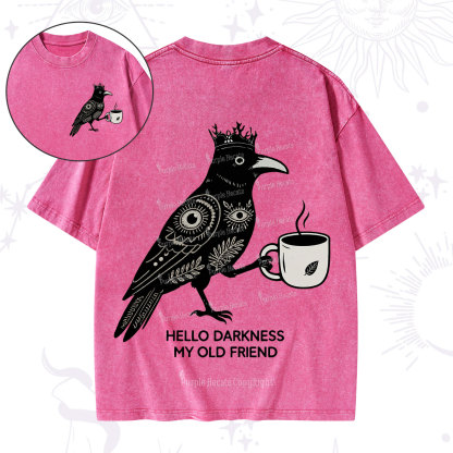 Purplehecate Hello Darkness My Old Friend Washed T-Shirt