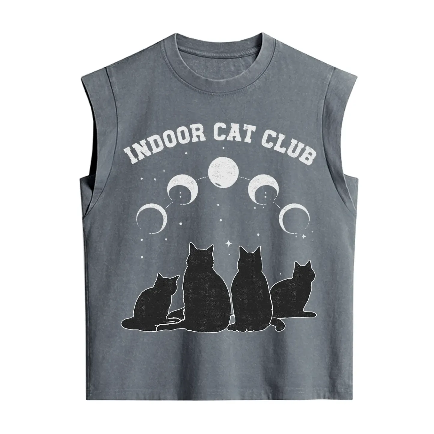 Purplehecate Indoor Cat Club Vintage Washed Tank