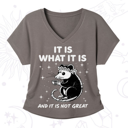 Purplehecate Possum It Is What It Is V-Neck T-Shirt