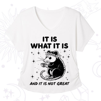 Purplehecate Possum It Is What It Is V-Neck T-Shirt