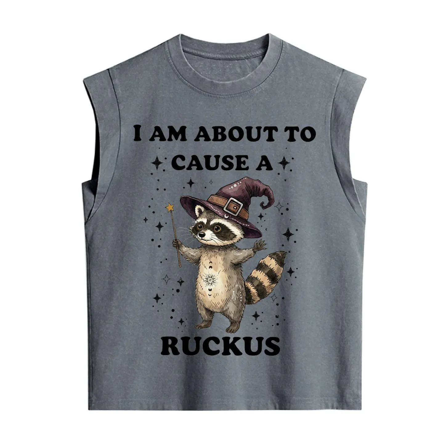 Purplehecate I Am About To Cause A Ruckus Vintage Washed Tank