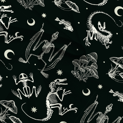 Purplehecate Prehistoric Fantasy Mesh Cover Up Dress