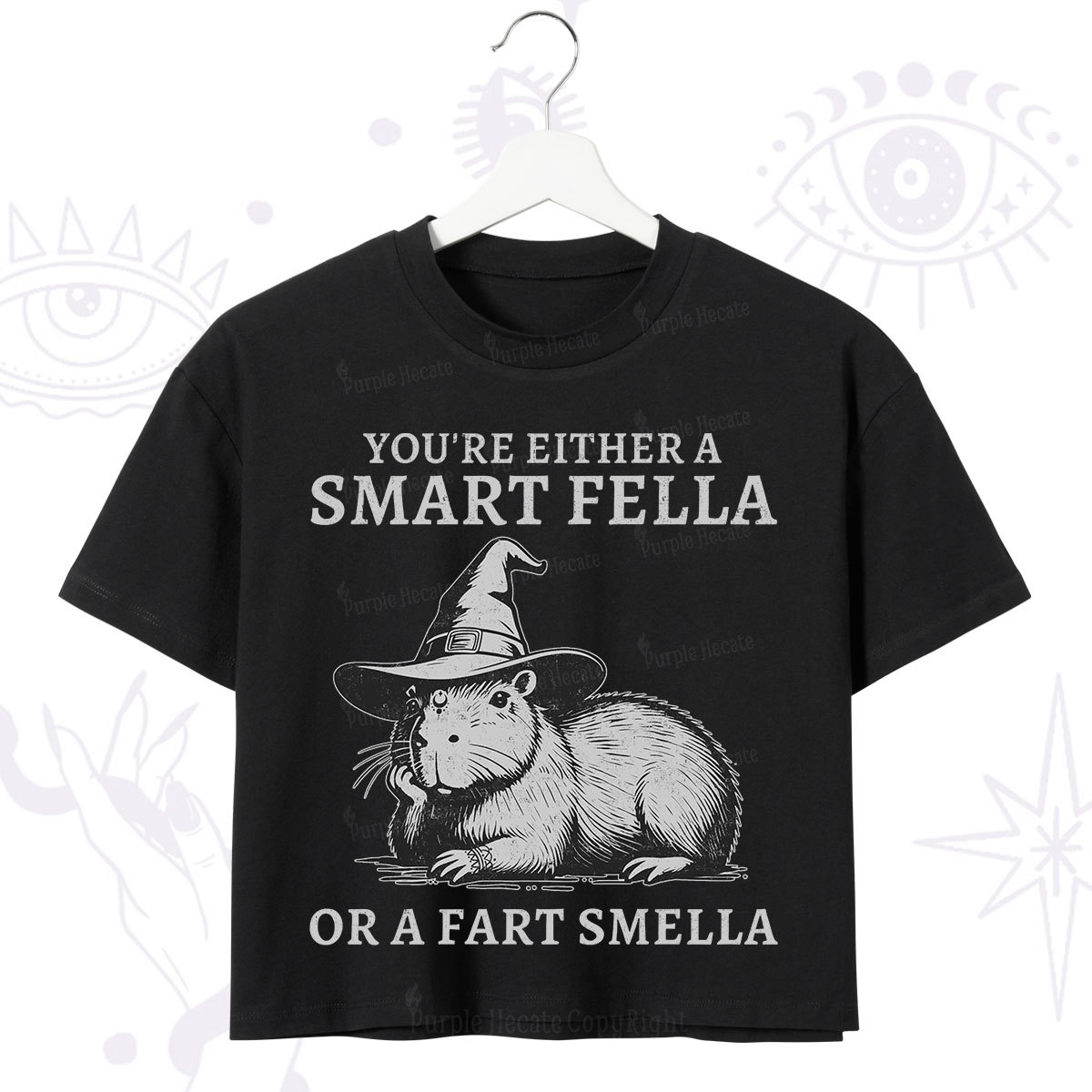 Purplehecate You're Either A Smart Fella or a Smart Fella Crop T-Shirt