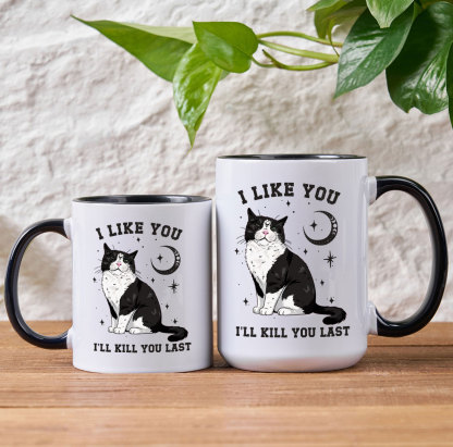 Purplehecate Sorry I Can't Go I'm an Indoor Cat Mug