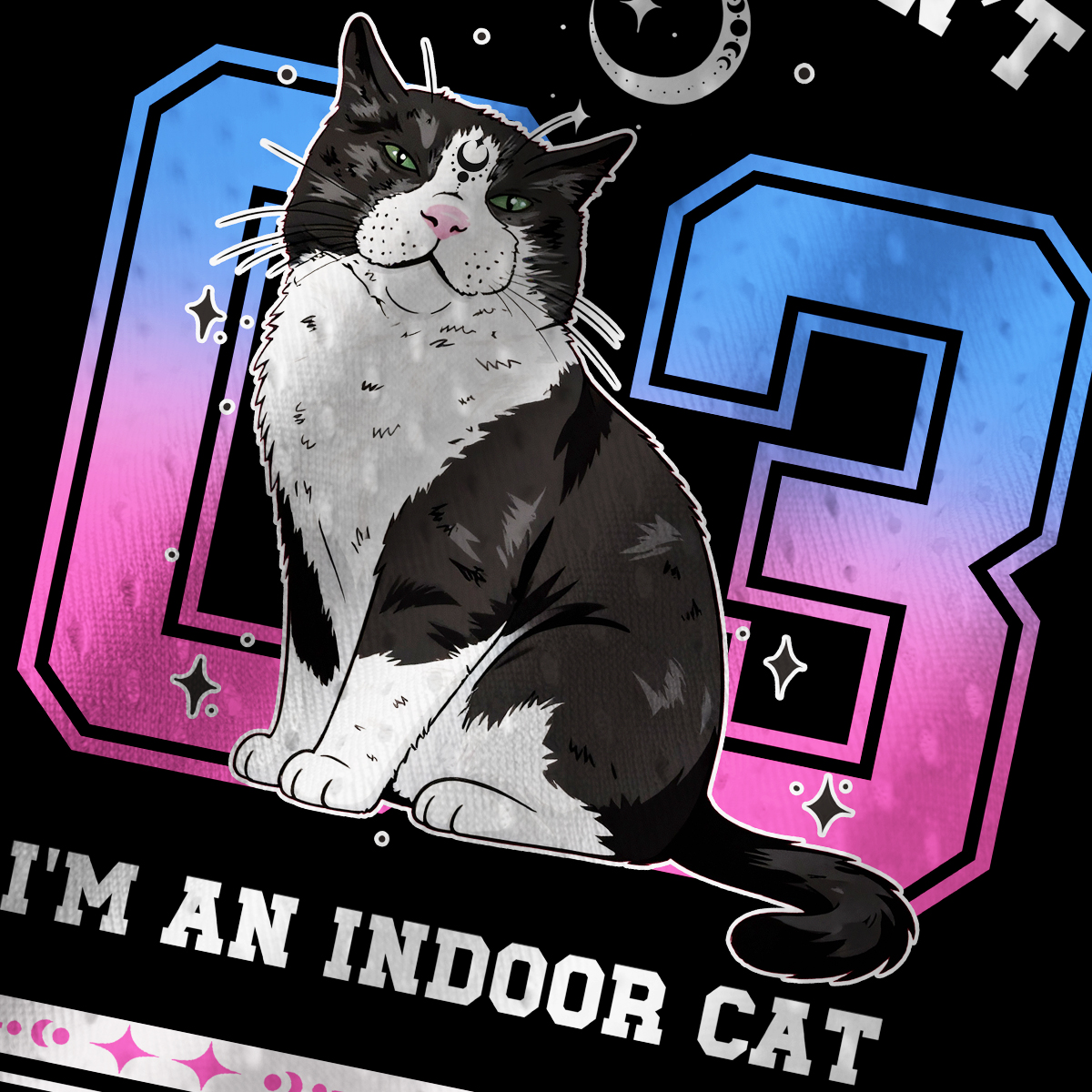 Purplehecate Sorry I Can't Go I'm an Indoor Cat Mesh Jersey Tank Top