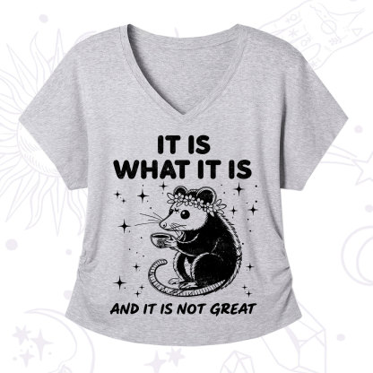 Purplehecate Possum It Is What It Is V-Neck T-Shirt