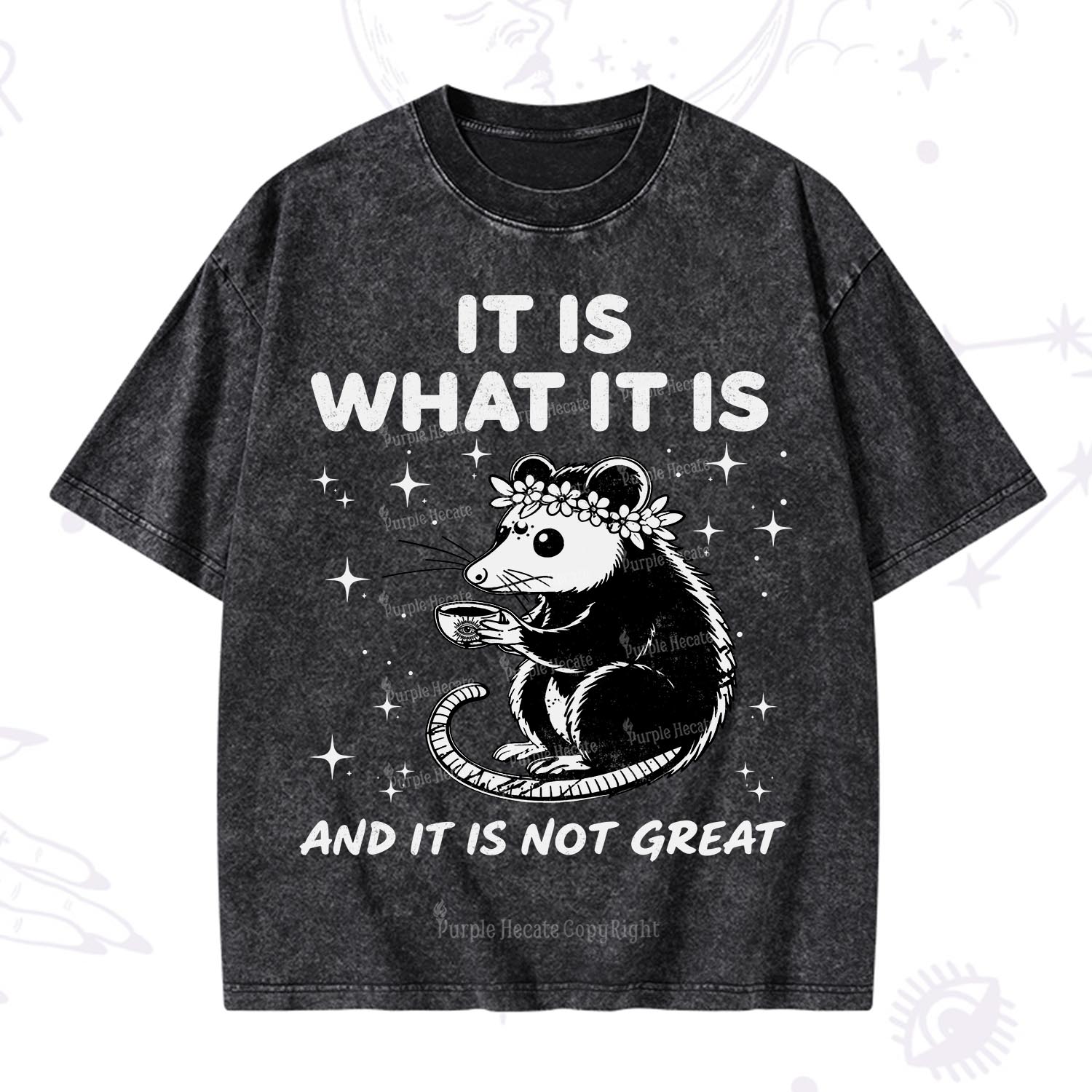 [Copy]Purplehecate Funny Capybara Washed T-Shirt