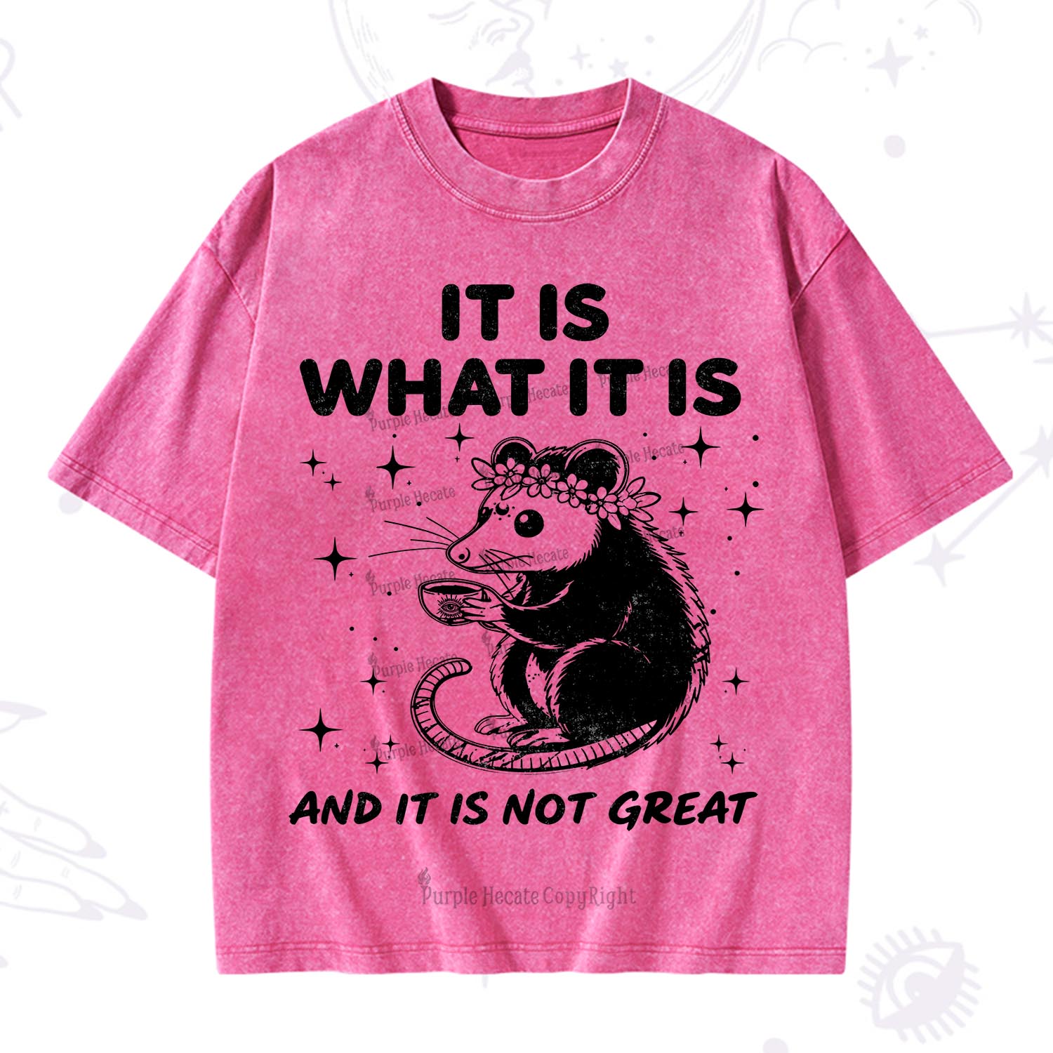 [Copy]Purplehecate Funny Capybara Washed T-Shirt