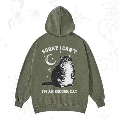 Purplehecate Sorry I Can't Go I'm an Indoor Cat Washed Hoodie