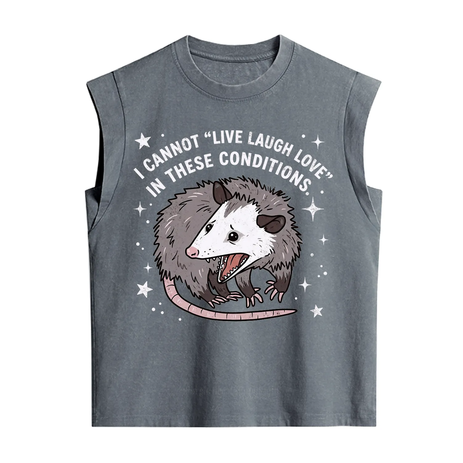 Purplehecate I Cannot Live Laugh Love Possum Vintage Washed Tank