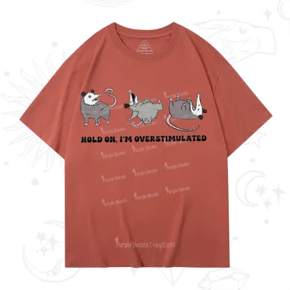 Purplehecate Hold On I'm Overstimulated T-Shirt