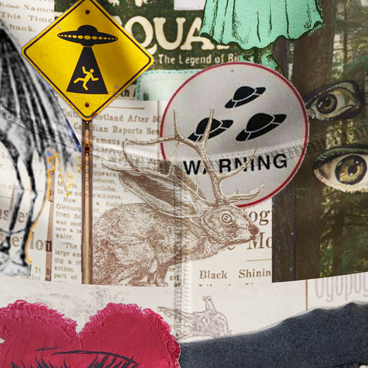 Purplehecate Cryptid Warning Collage Yoga Pants