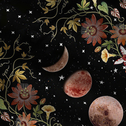 Purplehecate Moon Phase Floral Wide Leg Jumpsuit