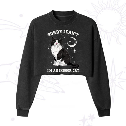 Purplehecate Sorry I Can't Go I'm an Indoor Cat Cropped Washed Sweatshirt