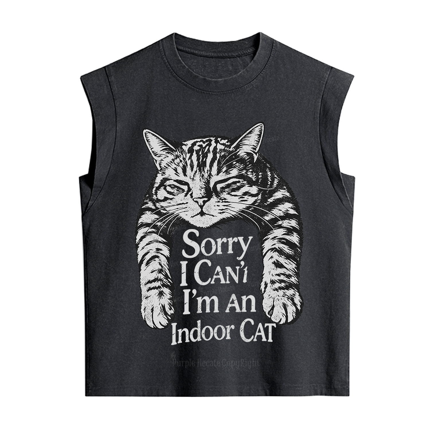 Purplehecate Sorry I Can't Go I'm an Indoor Cat Vintage Washed Tank