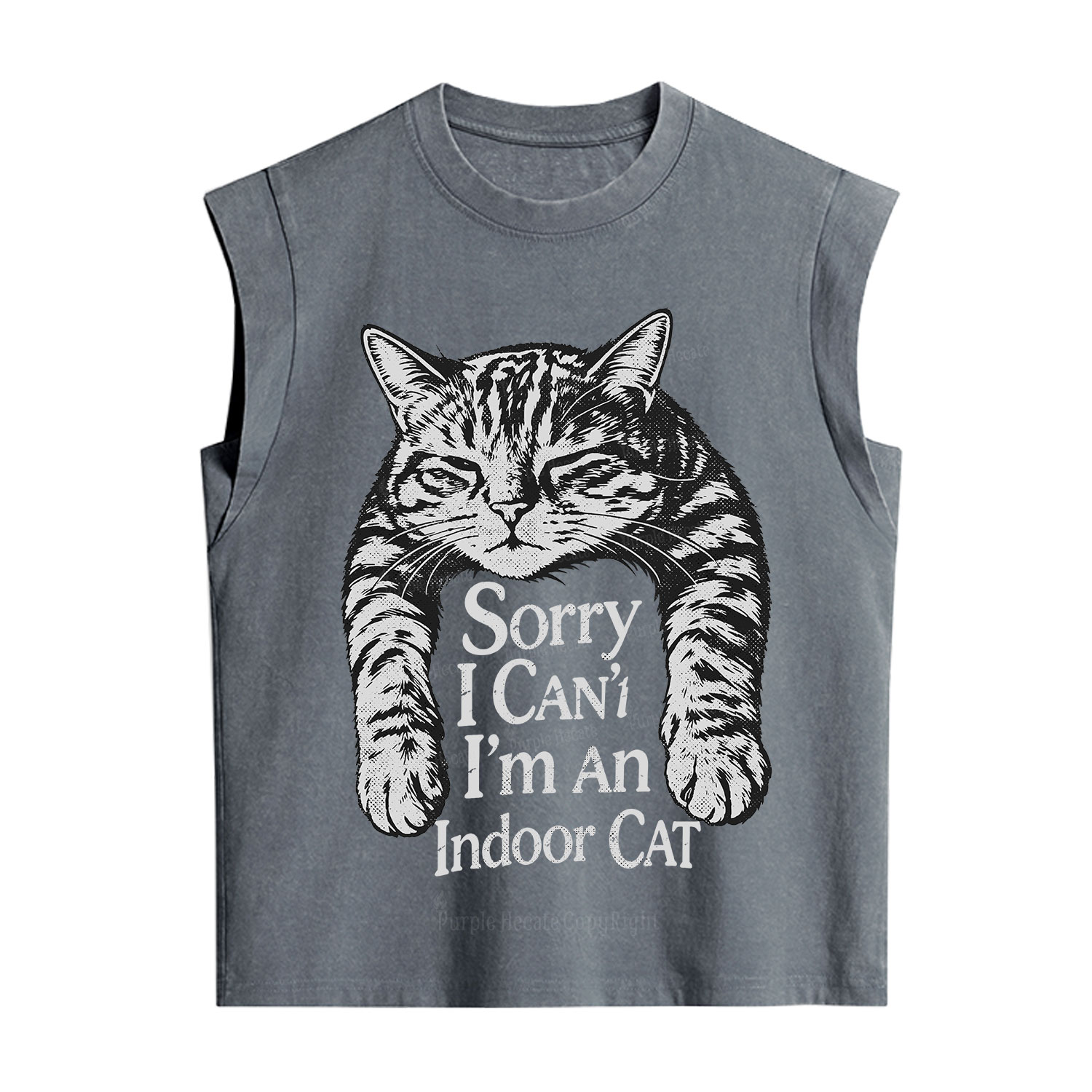 Purplehecate Sorry I Can't Go I'm an Indoor Cat Vintage Washed Tank