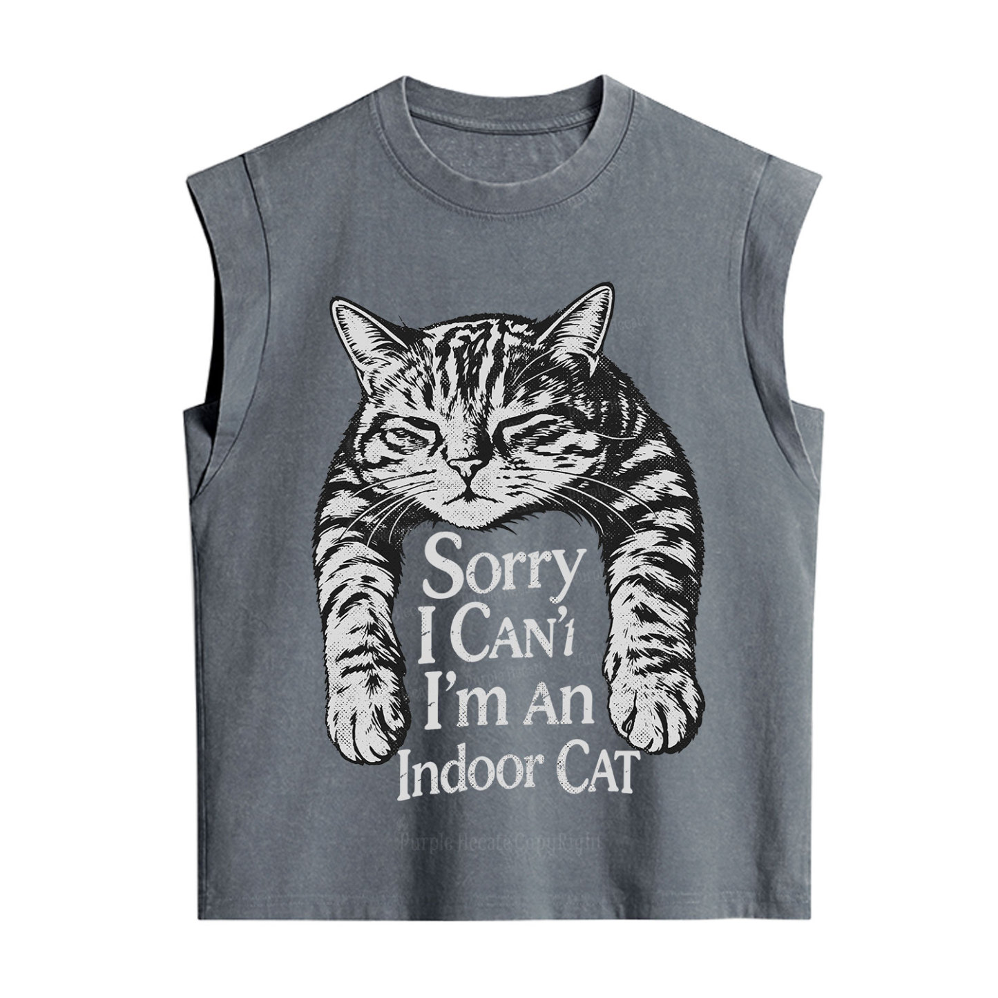 Purplehecate Sorry I Can't Go I'm an Indoor Cat Vintage Washed Tank