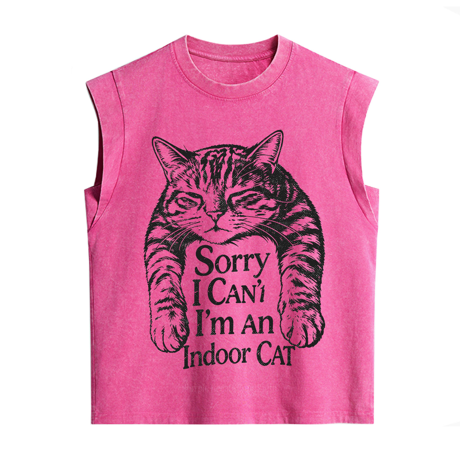 Purplehecate Sorry I Can't Go I'm an Indoor Cat Vintage Washed Tank