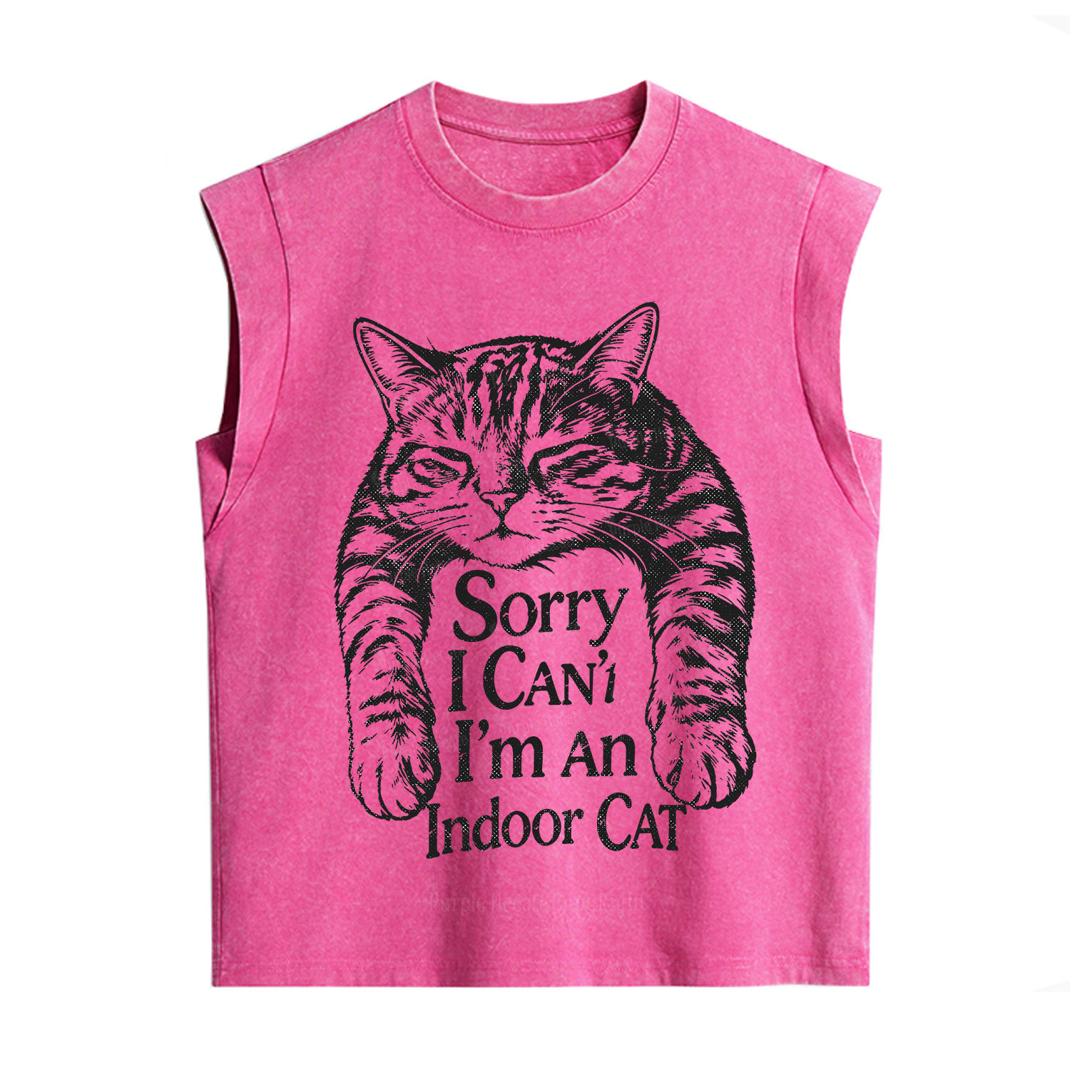 Purplehecate Sorry I Can't Go I'm an Indoor Cat Vintage Washed Tank