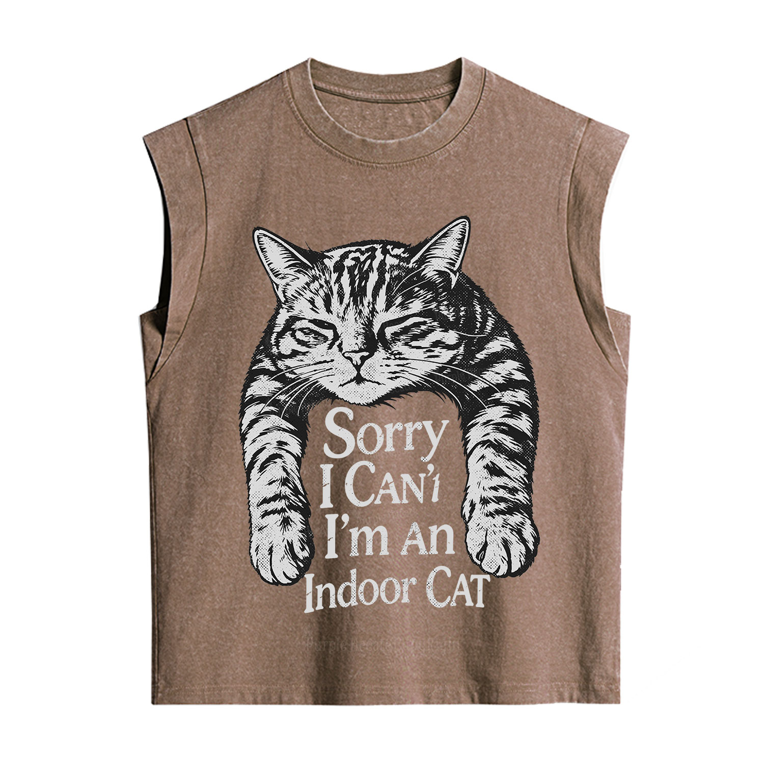 Purplehecate Sorry I Can't Go I'm an Indoor Cat Vintage Washed Tank