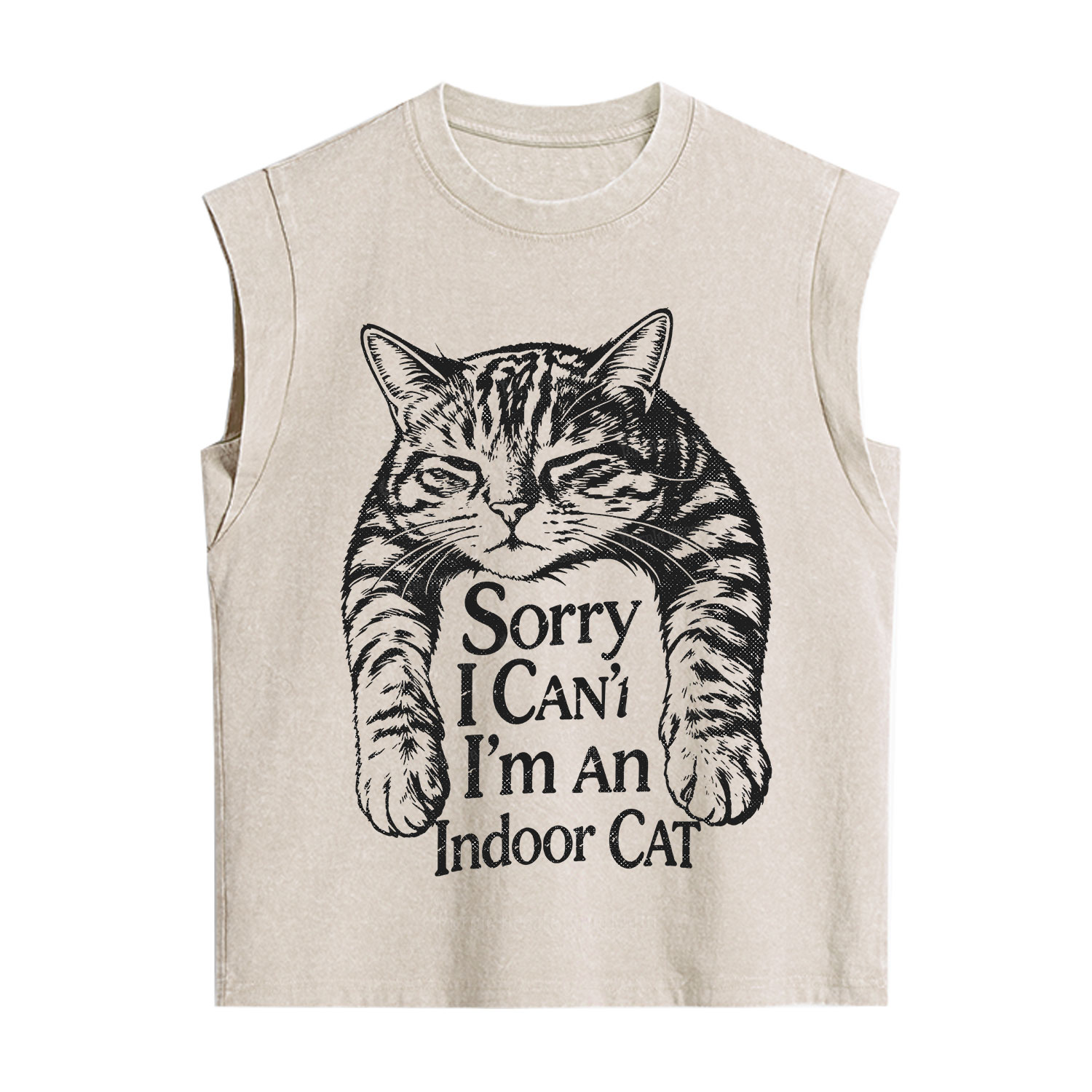Purplehecate Sorry I Can't Go I'm an Indoor Cat Vintage Washed Tank