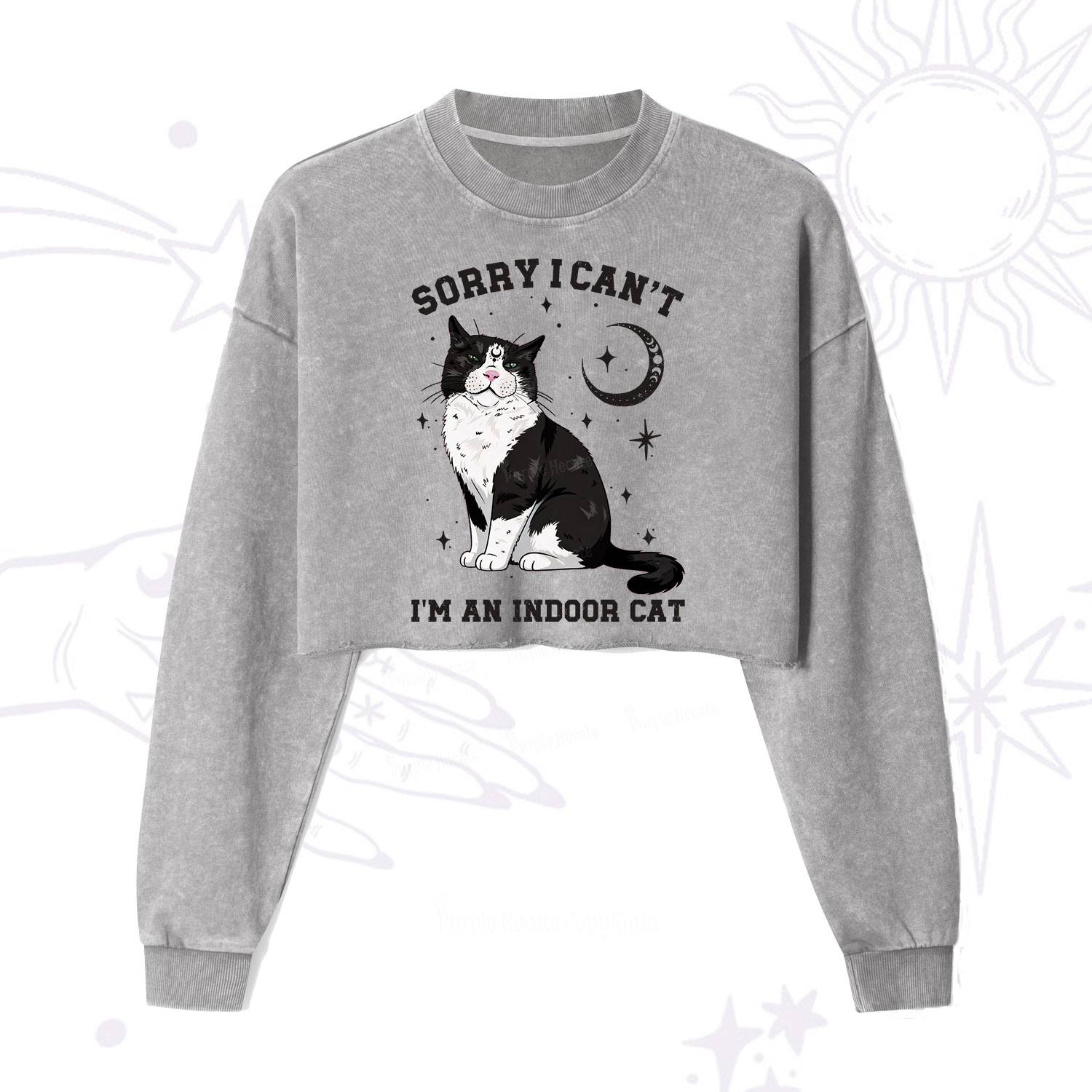 Purplehecate Sorry I Can't Go I'm an Indoor Cat Cropped Washed Sweatshirt