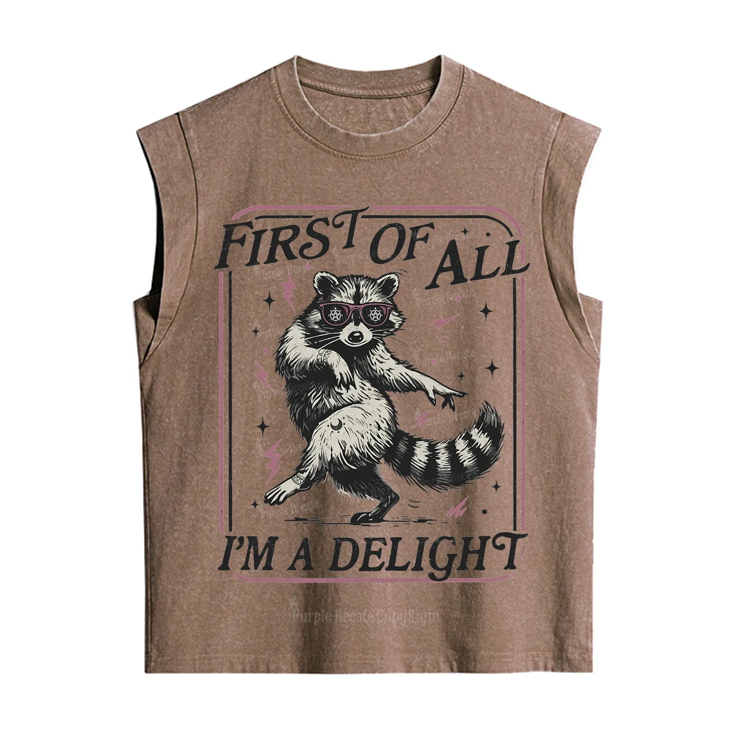 Purplehecate First Of All I'm A Delight Racoon Vintage Washed Tank