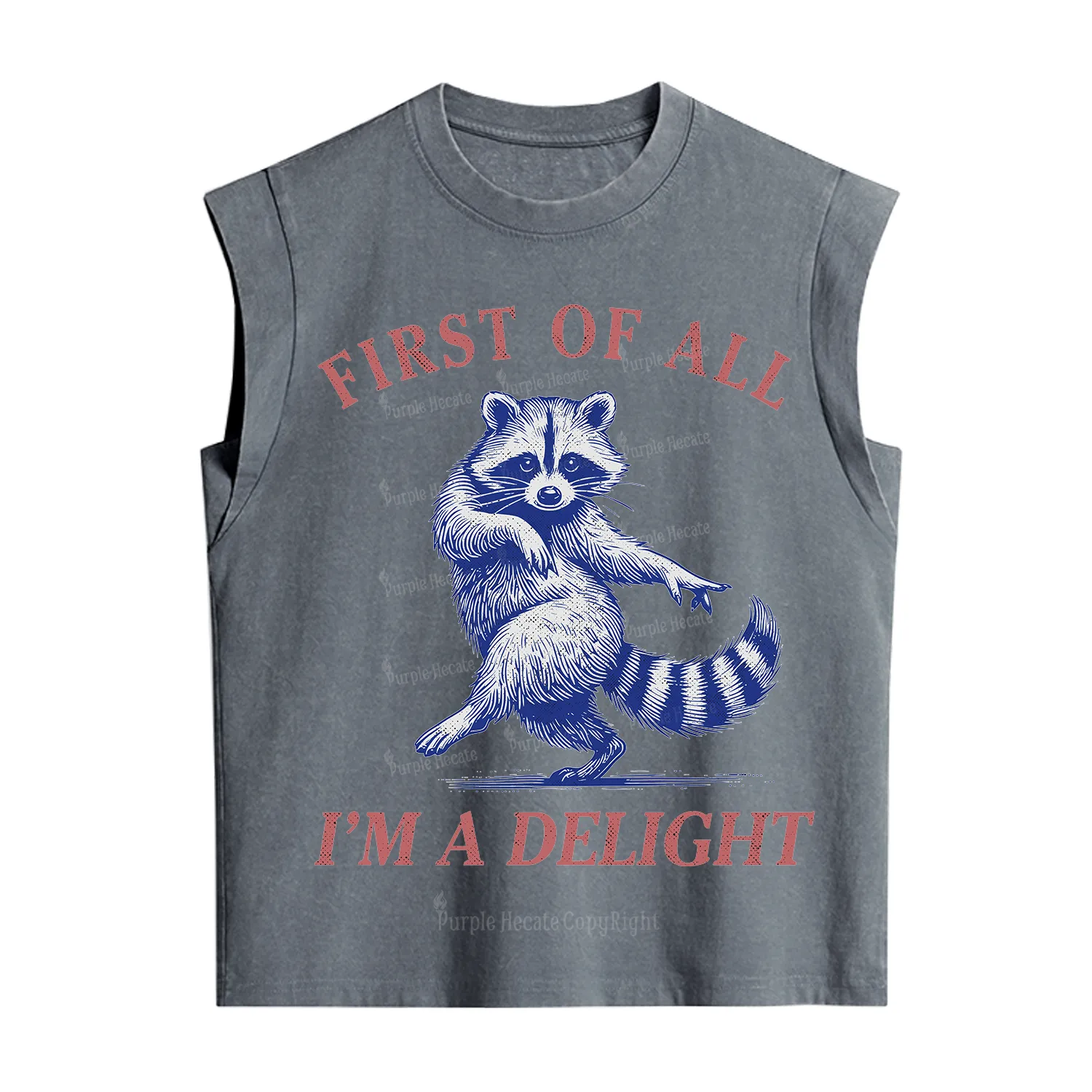 Purplehecate First of All I'm a Delight Funny Raccoon Vintage Washed Tank