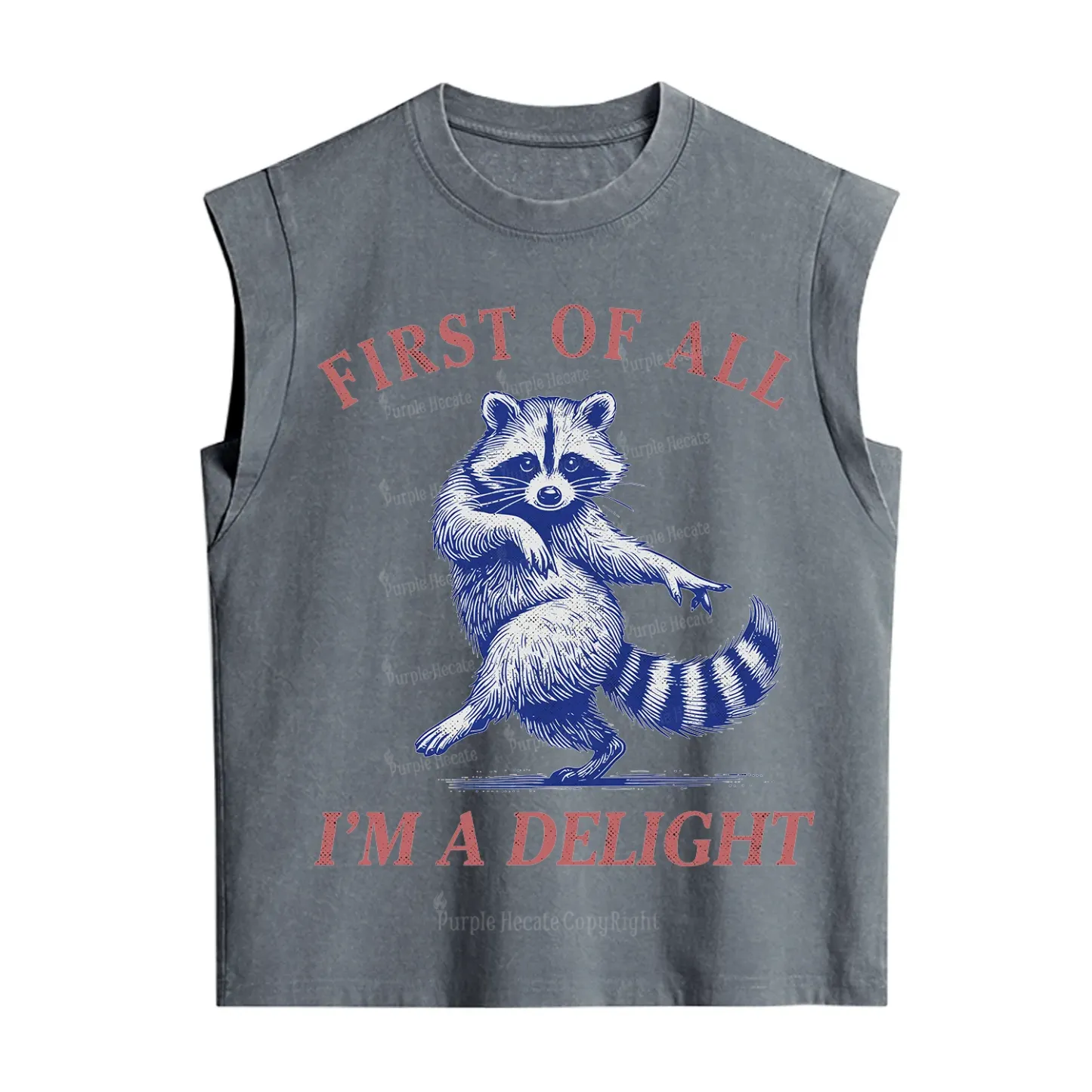Purplehecate First of All I'm a Delight Funny Raccoon Vintage Washed Tank