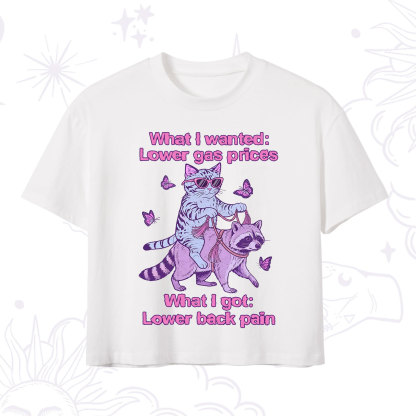 Purplehecate Lower Gas Prices Lower Back Pain Cat Crop T-Shirt