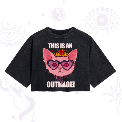 [Copy]Purplehecate Celestial Pegasus Washed Cropped T-Shirt