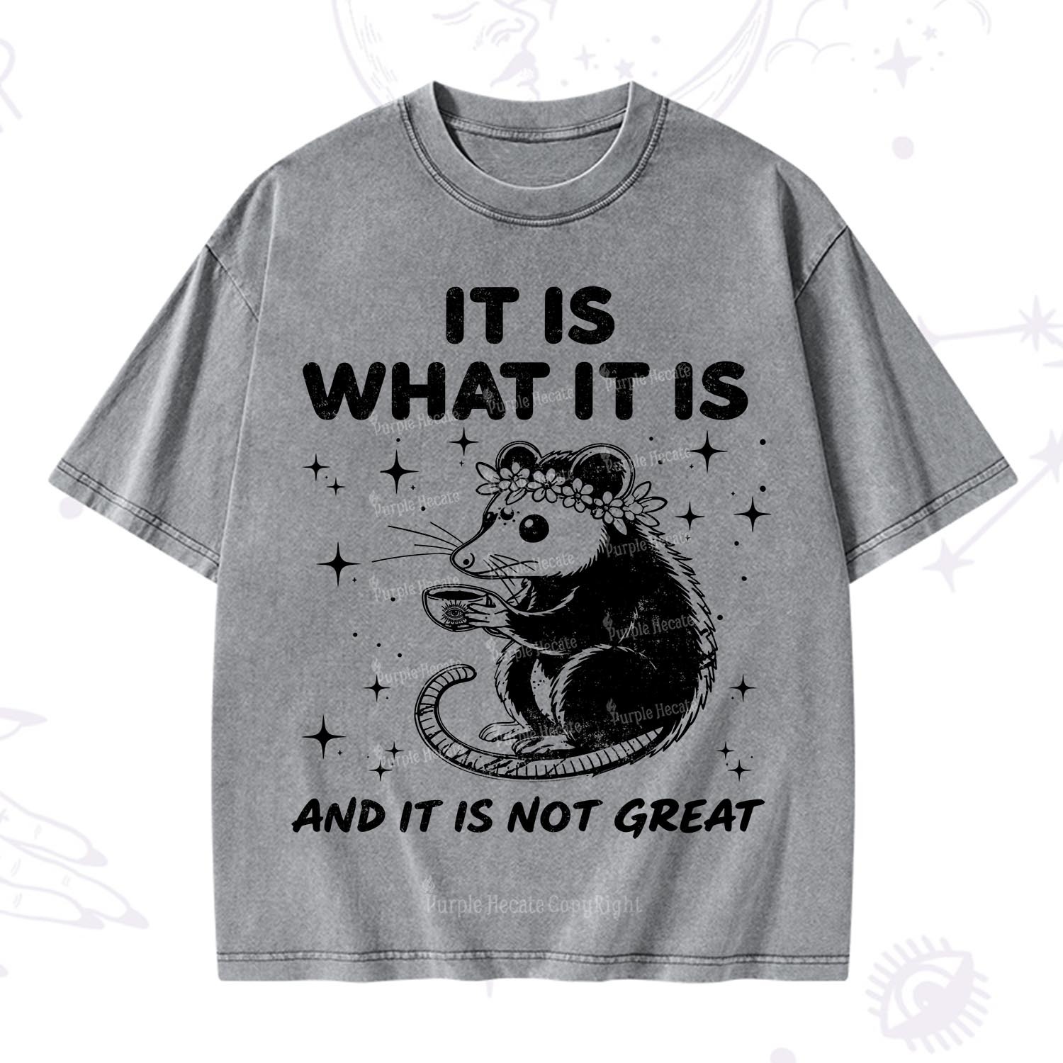 [Copy]Purplehecate Funny Capybara Washed T-Shirt