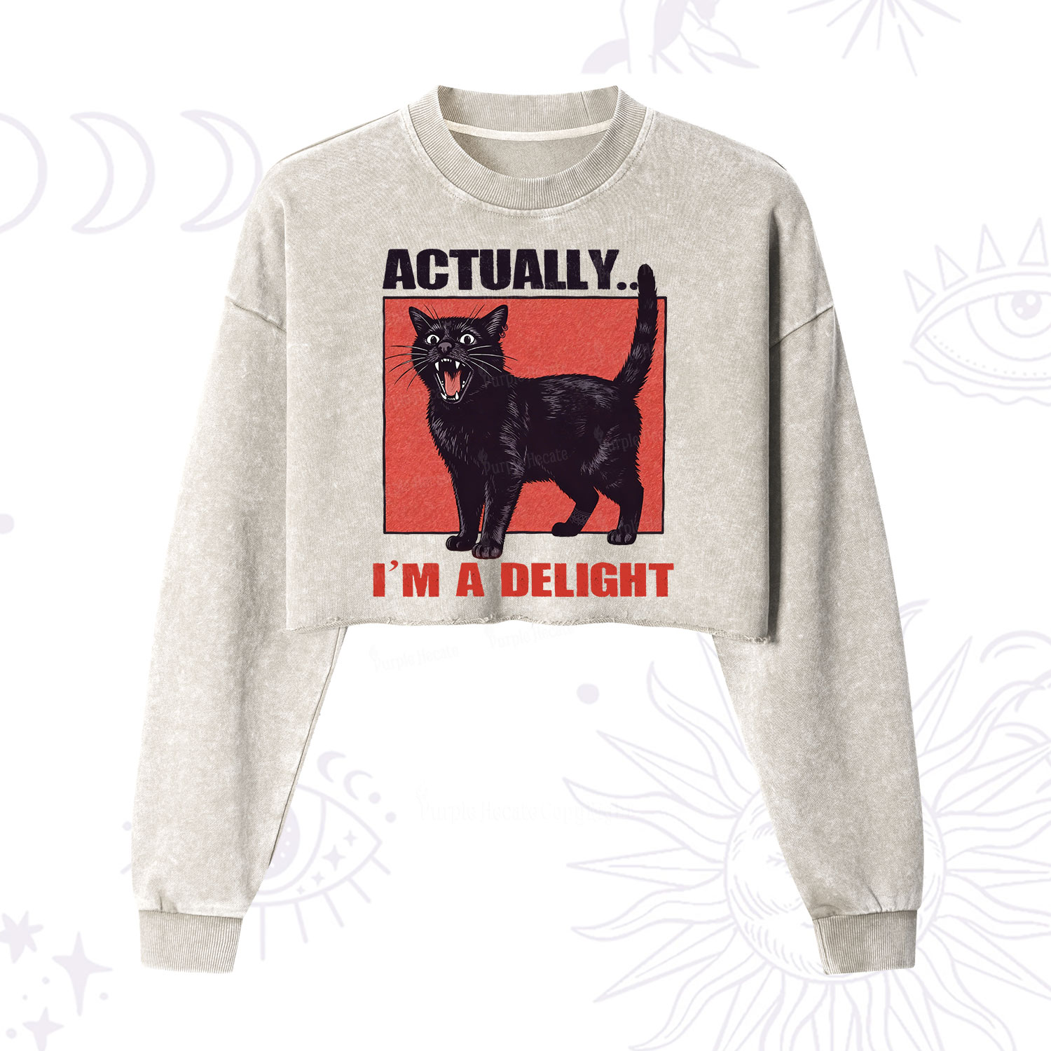 Purplehecate Actually Im a Delight Cropped Washed Sweatshirt