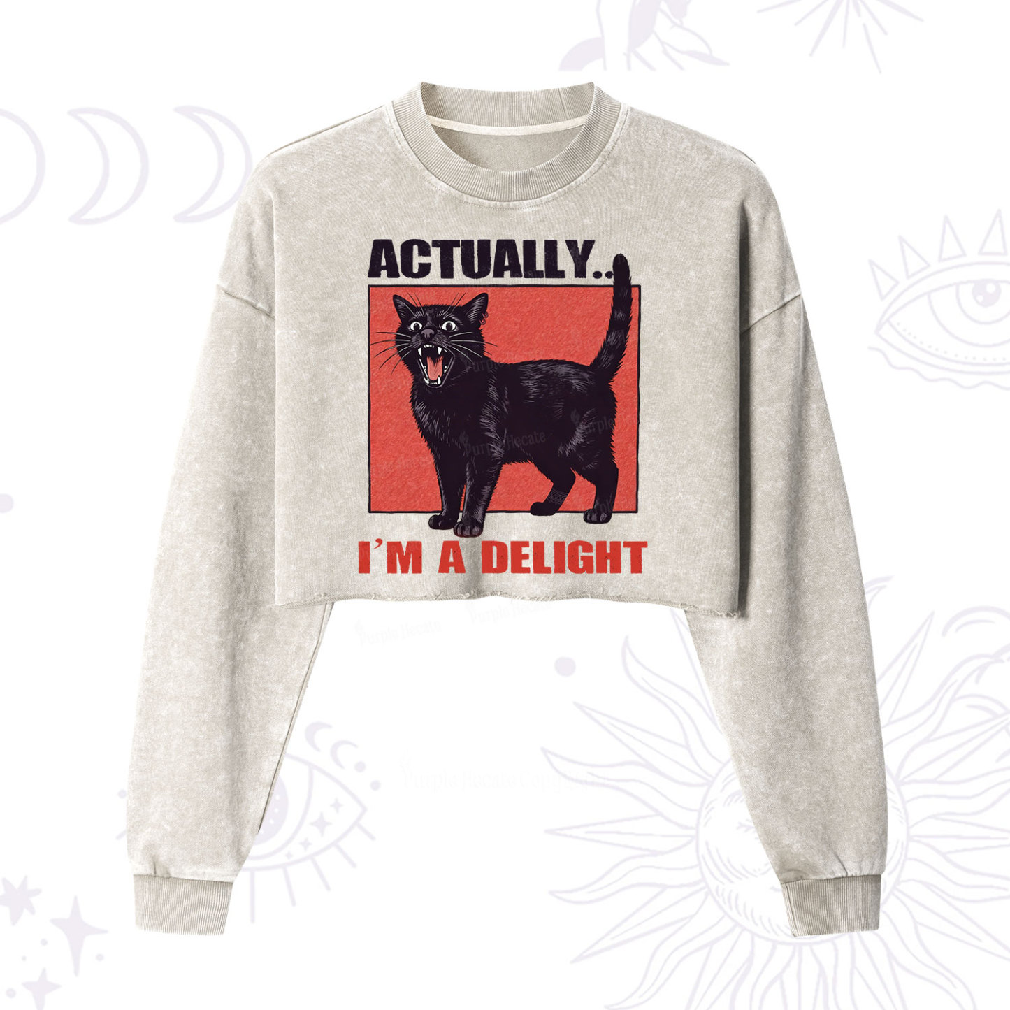 Purplehecate Actually Im a Delight Cropped Washed Sweatshirt