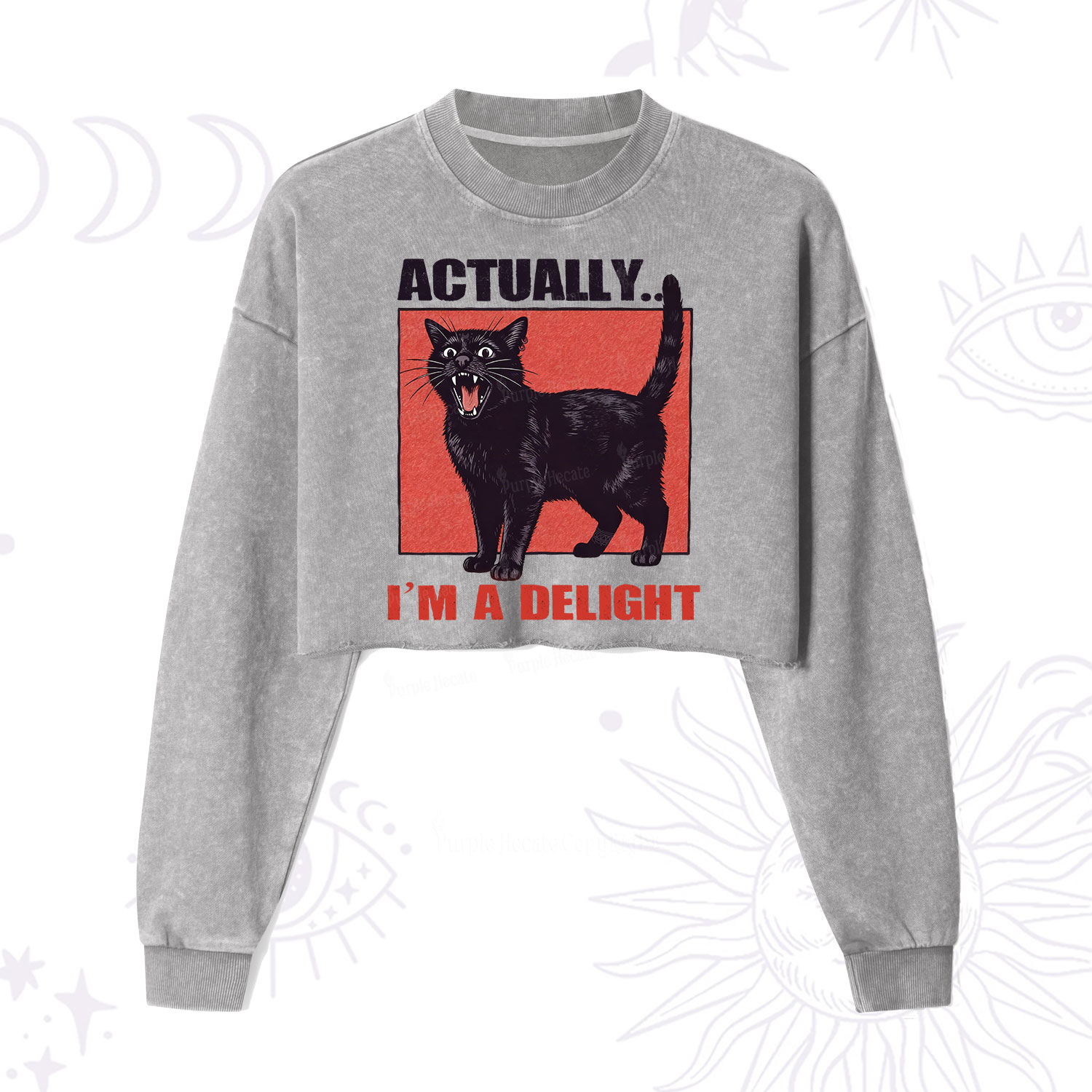 Purplehecate Actually Im a Delight Cropped Washed Sweatshirt