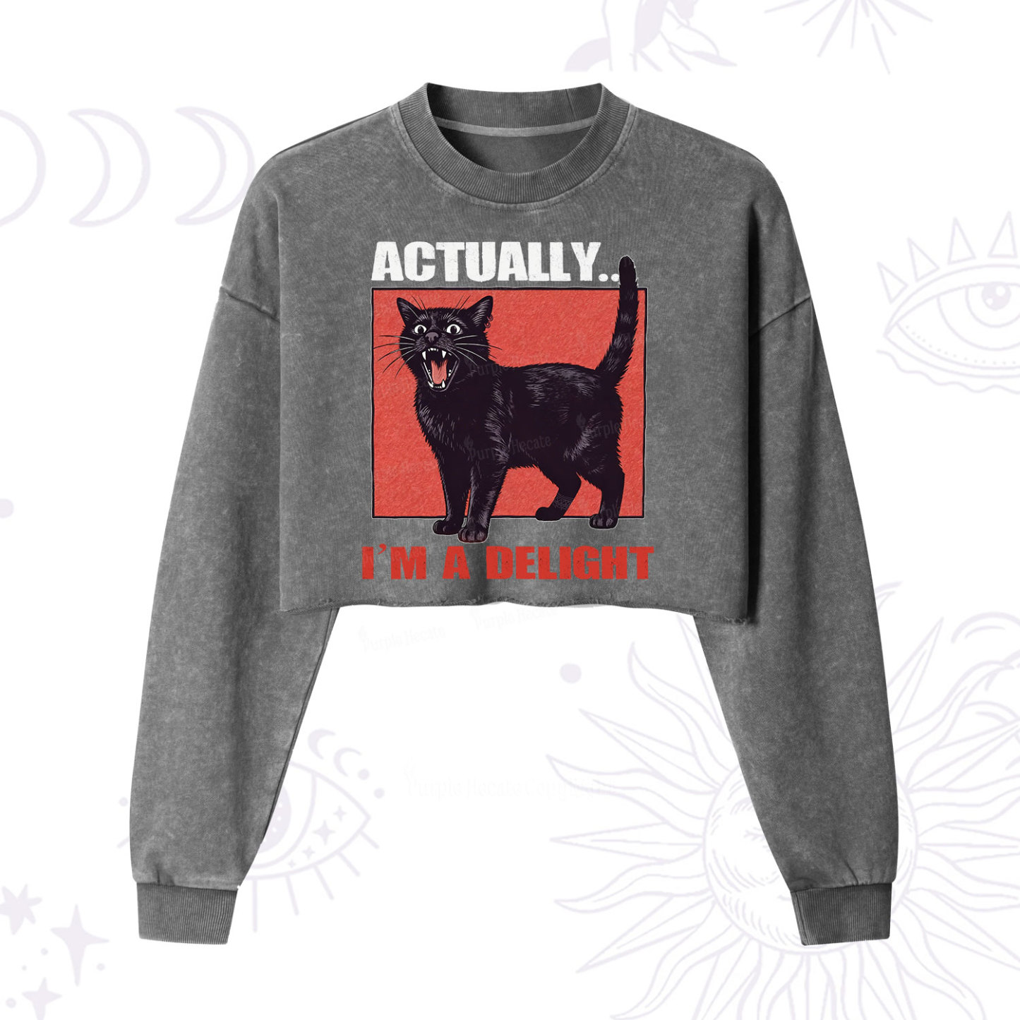 Purplehecate Actually Im a Delight Cropped Washed Sweatshirt