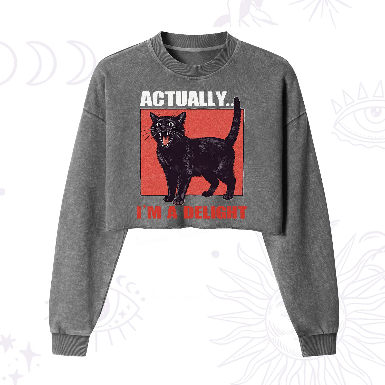 Purplehecate Actually Im a Delight Cropped Washed Sweatshirt