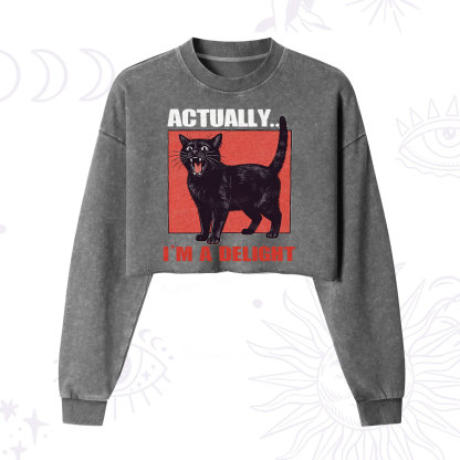 Purplehecate Actually Im a Delight Cropped Washed Sweatshirt