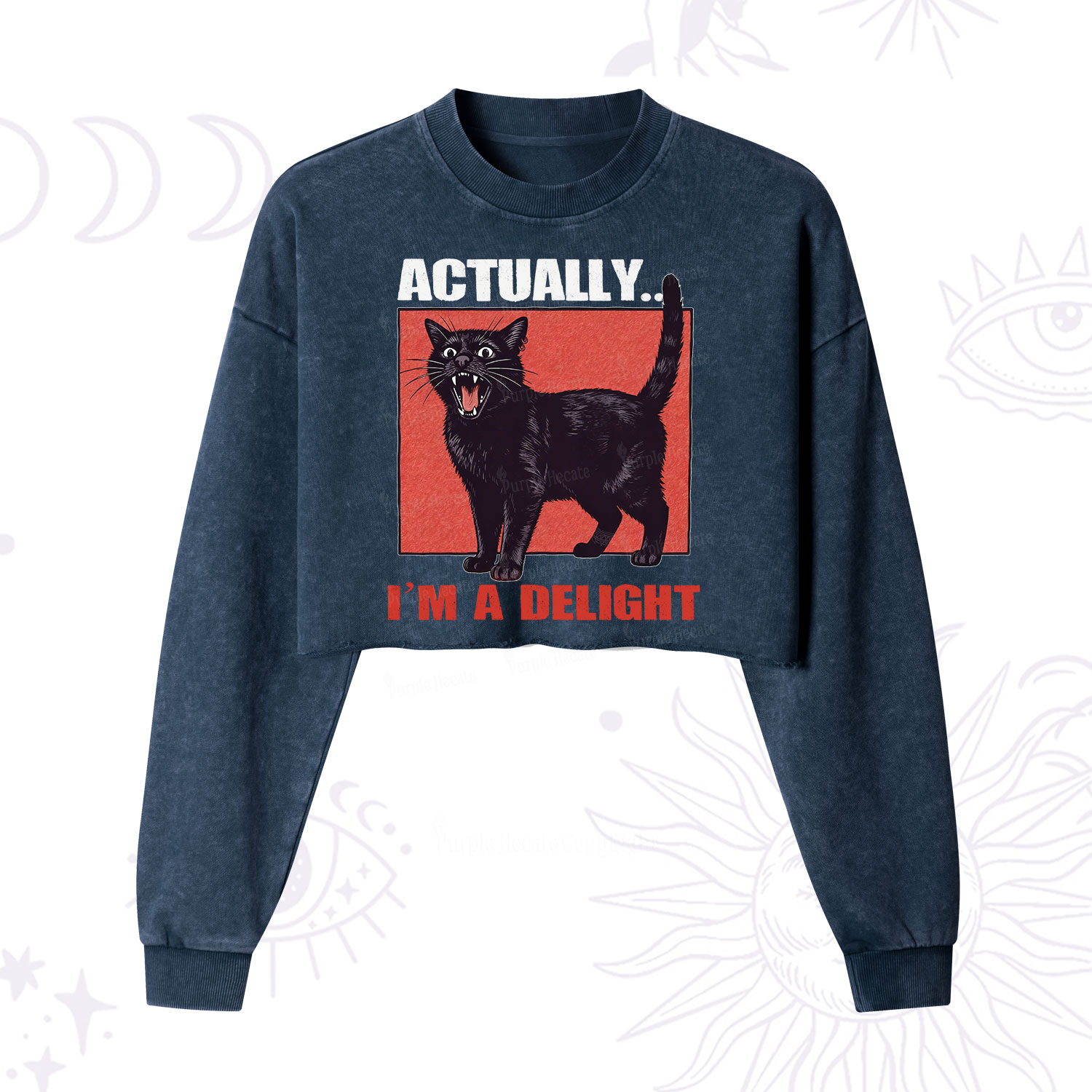 Purplehecate Actually Im a Delight Cropped Washed Sweatshirt
