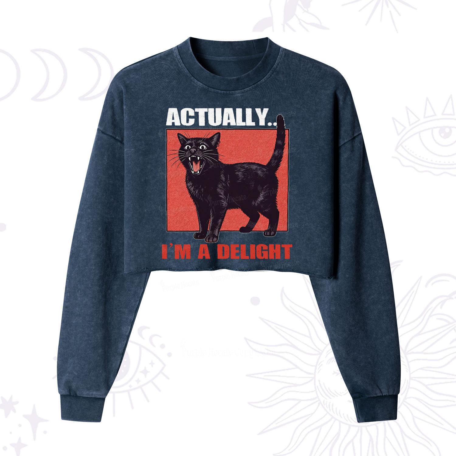 Purplehecate Actually Im a Delight Cropped Washed Sweatshirt