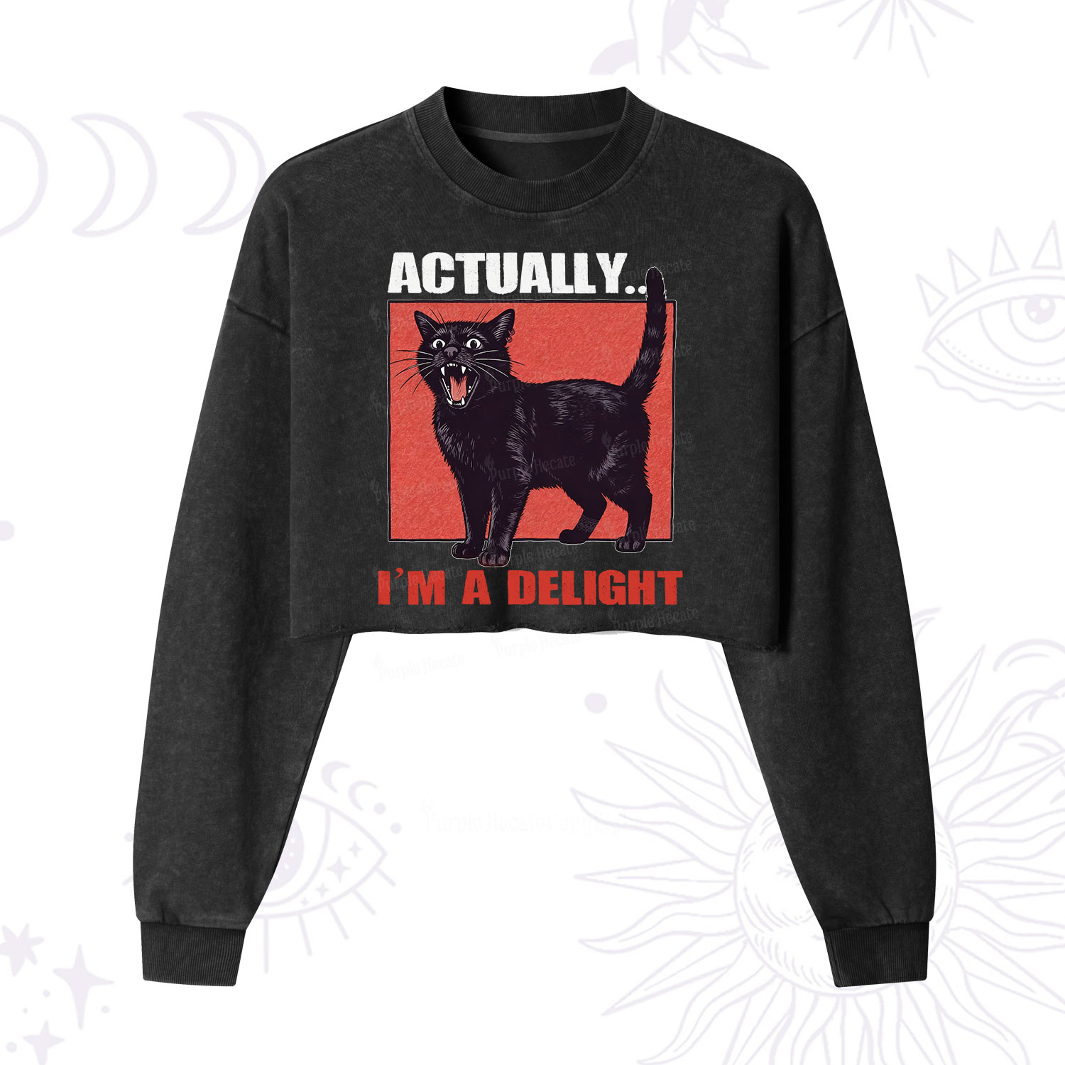 Purplehecate Actually Im a Delight Cropped Washed Sweatshirt
