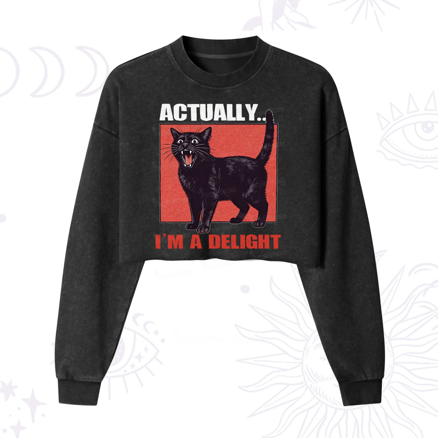 Purplehecate Actually Im a Delight Cropped Washed Sweatshirt